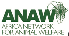 ANAW Logo