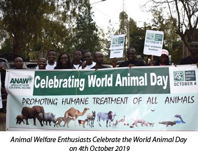 World Animal Day 2019