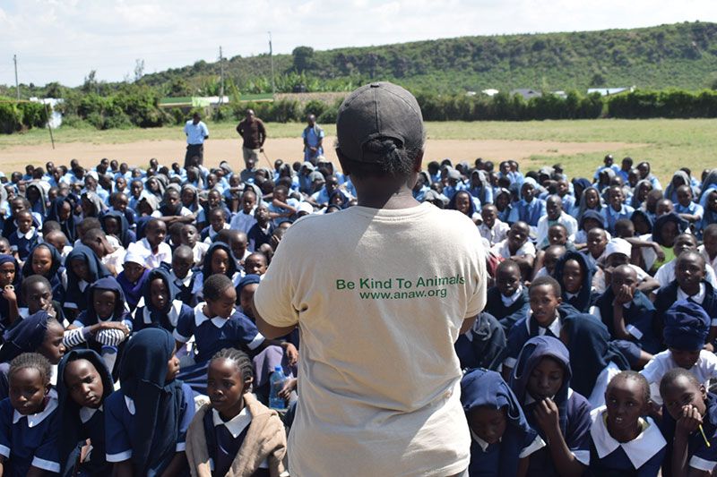 Promoting Animal Welfare in Schools