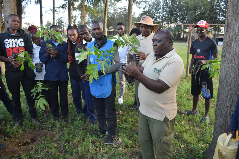 Organizing and Co-ordinating Environmental Conservation Activities