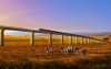 Building the SGR inside the park is wrong