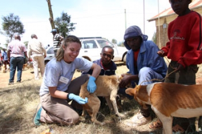 Africa Animal Welfare Adventure