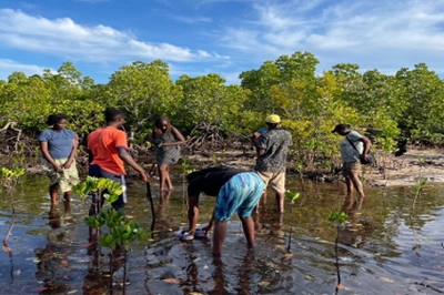Communities work Together to Restore and Protect Marine Ecosystems