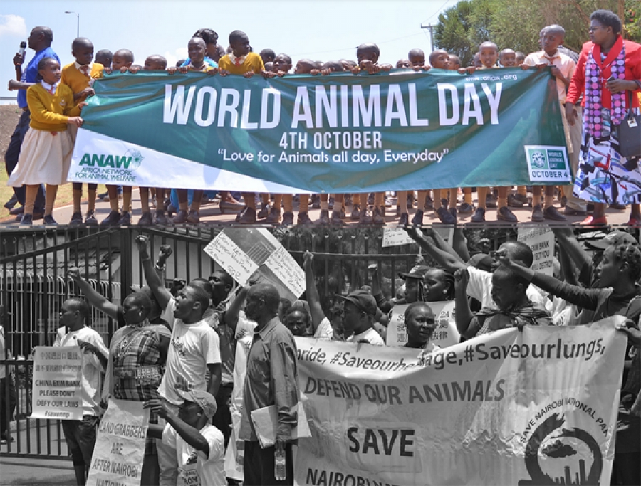 Celebrating our Animals on World Animal Day - 4th October 2018