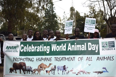 Celebrating a Special Day: World Animal Day