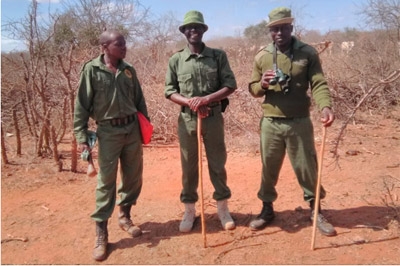 Coodinated Efforts to Provide a Solution to Elephants Seeking Water and Food During Heightened Drought