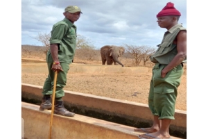 Kasigau Guardians at Work 