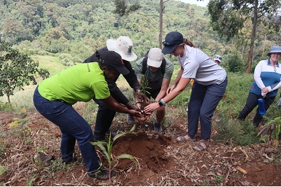 Experiential Learning with University of Denver Students Takes Place Successfully in Kenya - December 2022