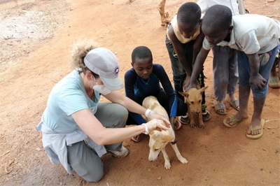 Anti-Rabies Vaccination Campaigns