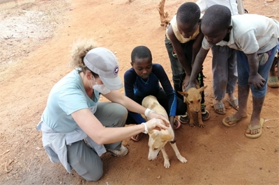 Over 7000 Animals (Dogs, Cats and Donkeys) Vaccinated Against Rabies in Machakos and Taita Taveta Counties